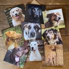 Greeting Cards